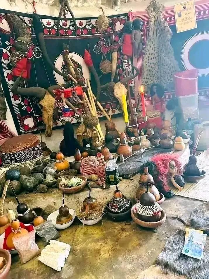 431563283_122150148164080103_4429947858404291381_n