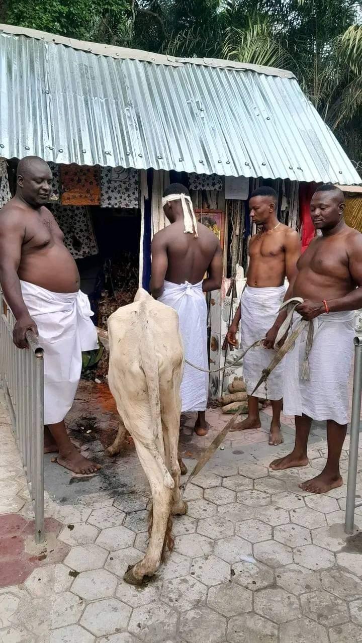 FB_IMG_1712239975250