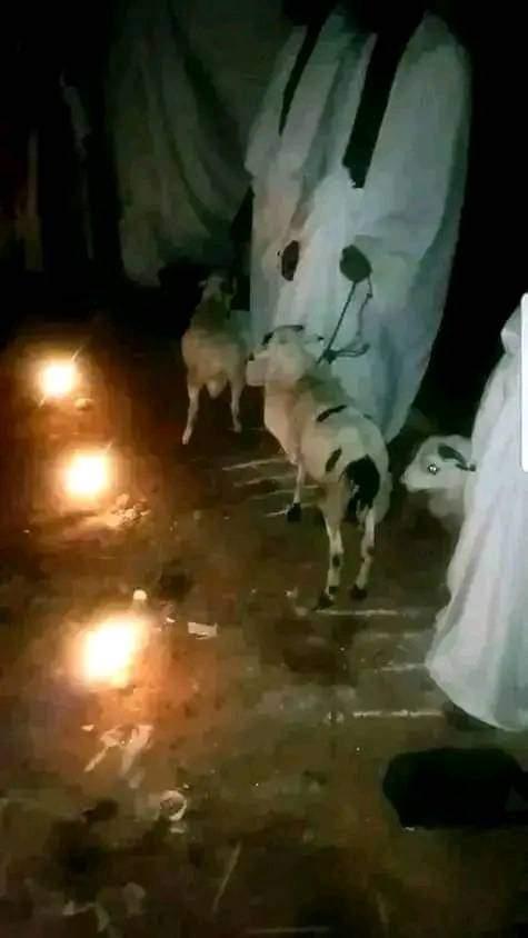 FB_IMG_1712240006385