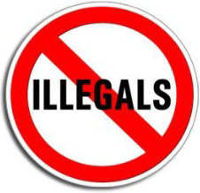 NO ILLEGALS Bumper Sticker