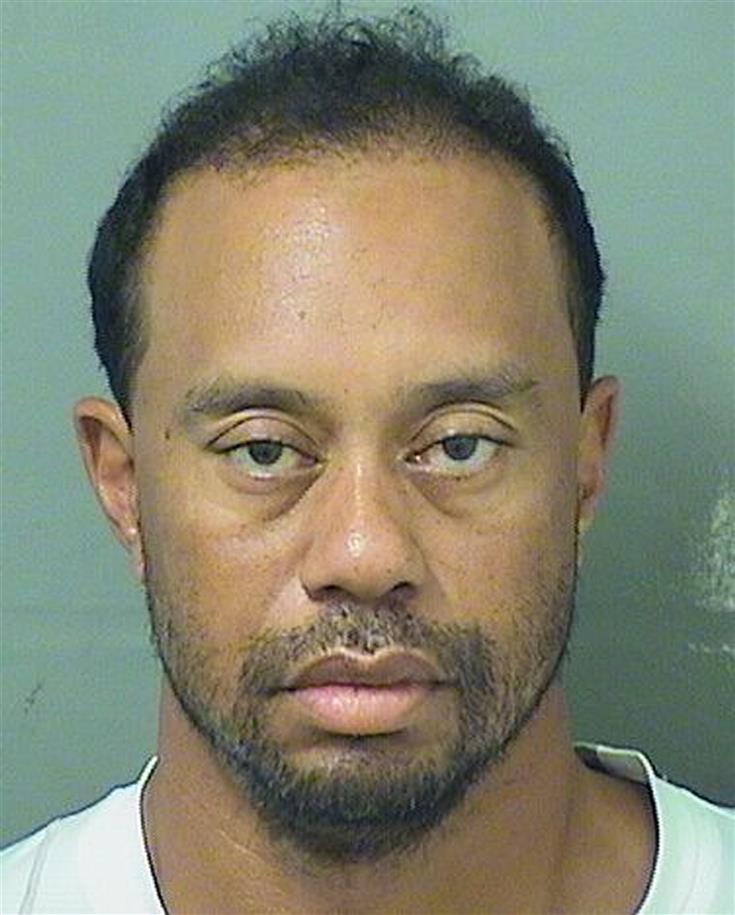 Tiger Woods DUI Mugshot