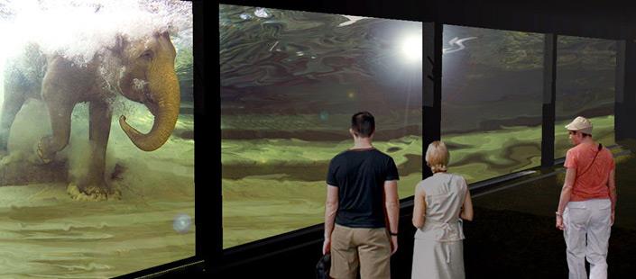 Zoo-Consultant-Services